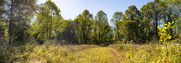 NCP_4578-Pano