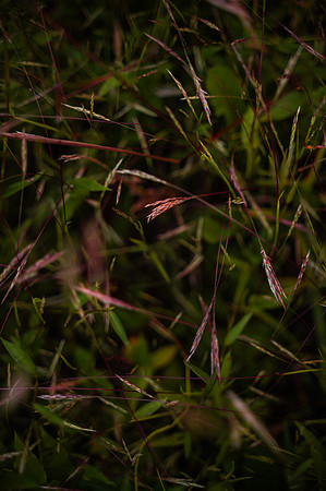 NCP_4857
