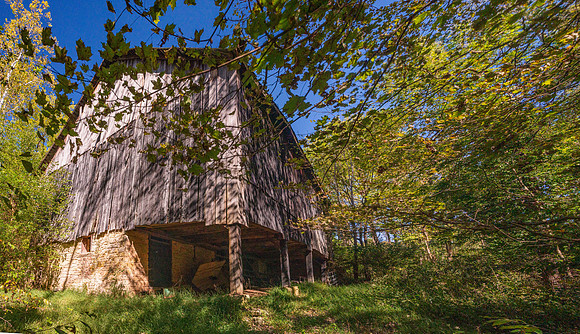 NCP_4751-Pano-PanoS