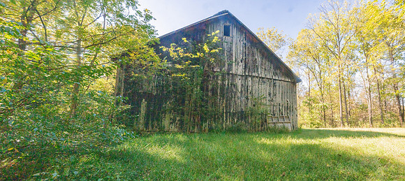 NCP_4770-PanoS