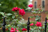 NCP_2771