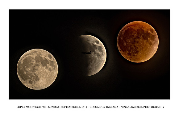 ECLIPSE 16X24 POSTER