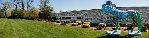 NCP_9169-Edit