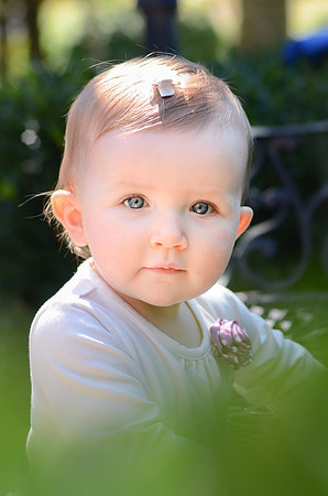 NCP_2805