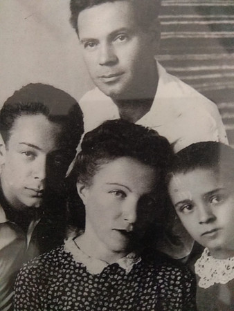 RosaShubfamily