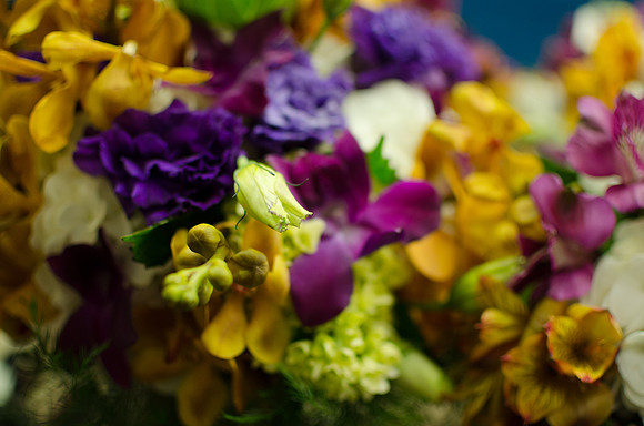 NCP_4306