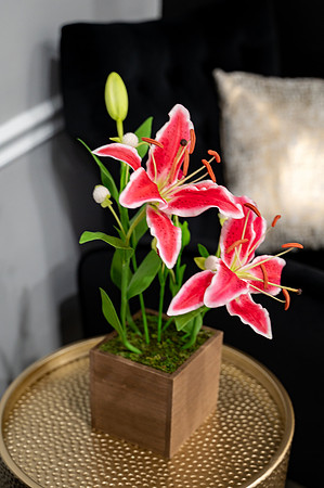 NCP_3794